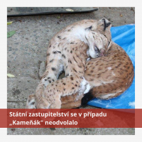Státní zastupitelství se v případu „Kameňák&quot; neodvolalo