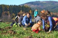  Dobrovolníci a místni obyvatelé vysazují první stromy v biokoridoru, důležitém pro migraci velkých šelem. 