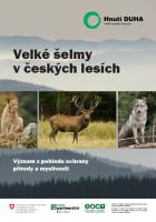Velké šelmy v českých lesích: význam z pohledu ochrany přírody a myslivosti.