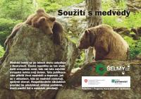 Soužití s medvědy