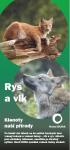 Rys a vlk