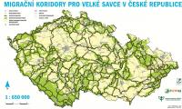 Mapa migračních koridorů pro velké savce