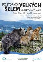 Po stopách velkých šelem nejen v Beskydech