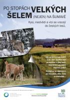 Po stopách velkých šelem nejen na Šumavě