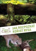 Jak poznat kořist rysa