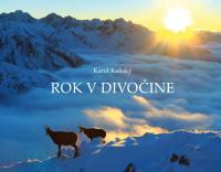 Rok v divočine