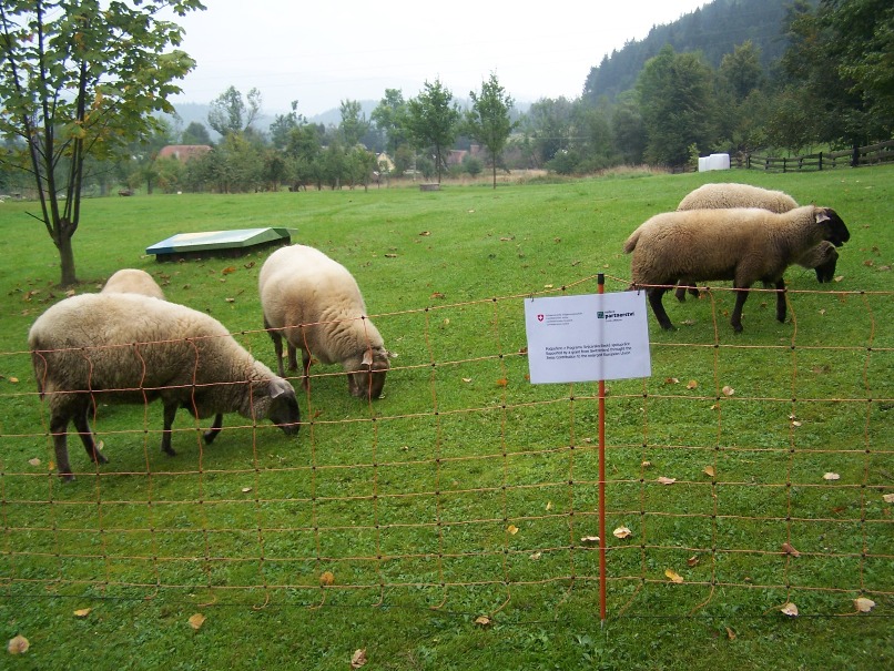 Mobilní síťový elektrický ohradník OVI Net: délka 50 m, výška ohrady 90 nebo 108 cm. Mobilní síťový elektrický ohradník OVI Net: délka 50 m, výška ohrady 90 nebo 108 cm.