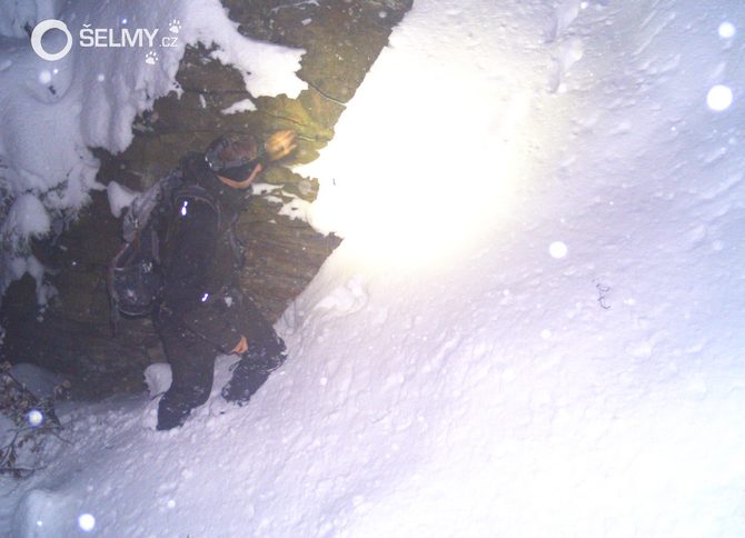 Snowtracking a lynx