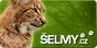 banner selmy.cz - rys