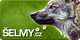 banner selmy.cz - vlk