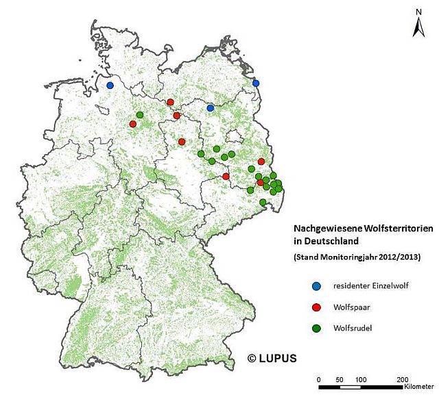 Current occurrence of wolf packs in Germany; source: www.wolfsregion-lausitz.de
