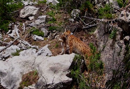 zdroj: www.at zdroj: www.at