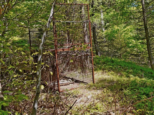 klec určenák odchytu rysa. Foto: Leona Machalová klec určenák odchytu rysa. Foto: Leona Machalová