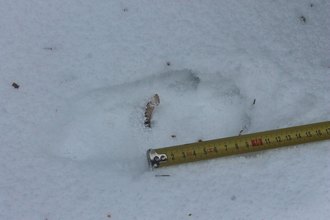 Foto: Tomáš Kučera Foto: Tomáš Kučera