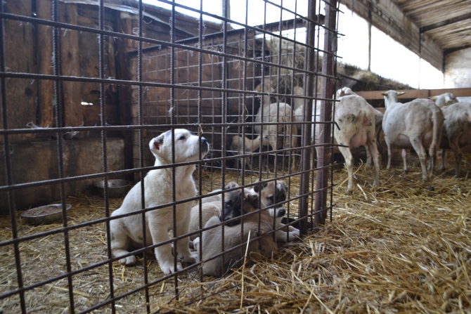 Foto: Miroslav Kutal Foto: Miroslav Kutal