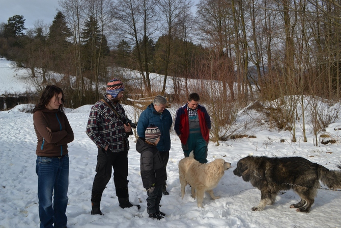 Foto: Miroslav Kutal Foto: Miroslav Kutal