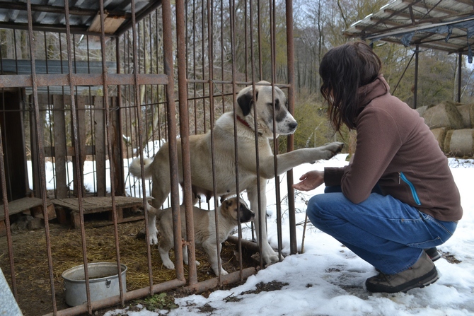 Foto: Miroslav Kutal Foto: Miroslav Kutal