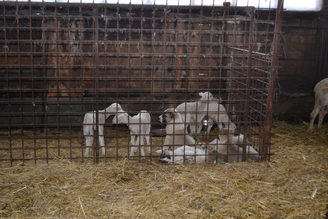 Foto: Miroslav Kutal Foto: Miroslav Kutal