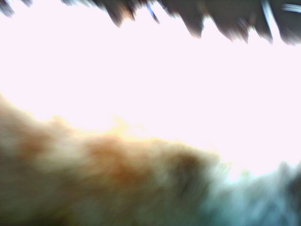 část rysa, který si hraje s fotopastí část rysa, který si hraje s fotopastí