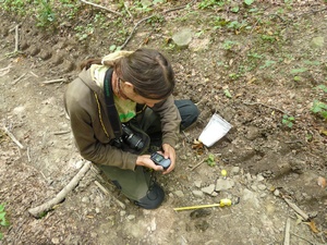 dokumentace nálezu čerstvého vlčího trusu