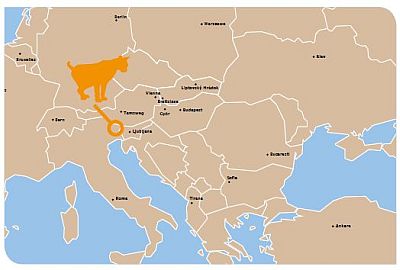 zdroj: Eupean Wilderness Society Journal