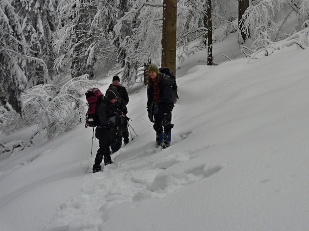 hledani zmizele fotopasti hledani zmizele fotopasti
