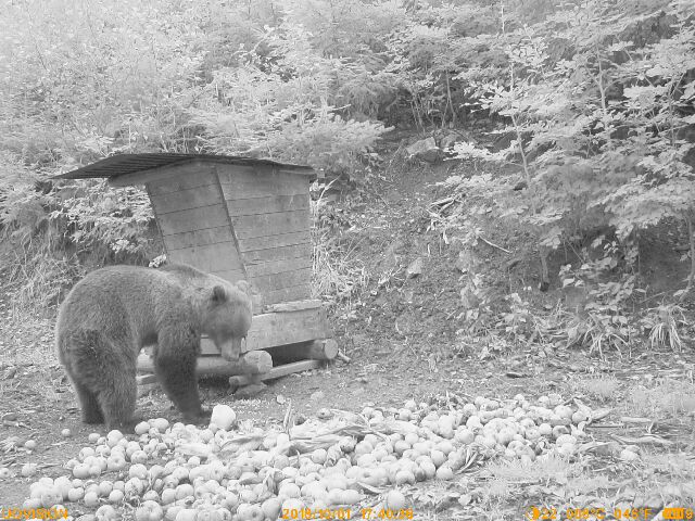 Foto: Jaroslav Kadleček Foto: Jaroslav Kadleček