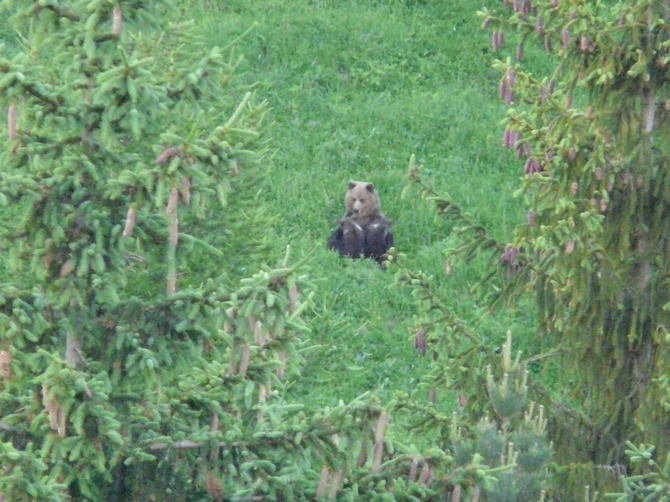 Foto: Hana Válková Foto: Hana Válková