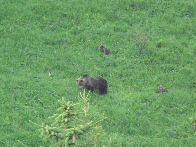 Foto: Hana Válková Foto: Hana Válková