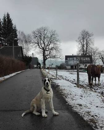 Foto: Kristýna Fridrichová Foto: Kristýna Fridrichová