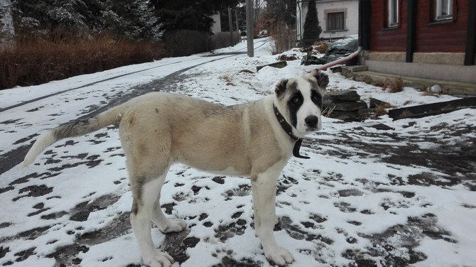 Foto: Kristýna Fridrichová Foto: Kristýna Fridrichová