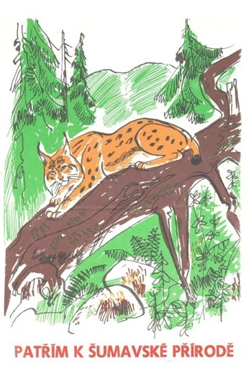 A drawing of Eurasian lynx