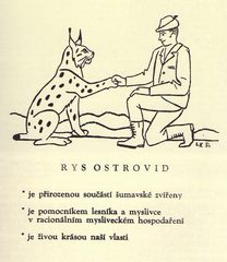 A poster depicting lynx as a forester's friend