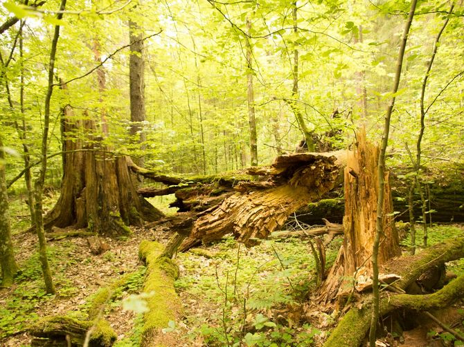 Foto: Jan Skalík Foto: Jan Skalík