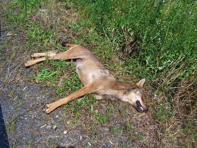 Foto: Michal Bojda Foto: Michal Bojda