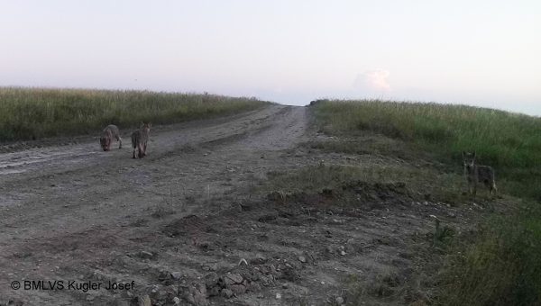 Foto: BMLVS, Josef Kugler Foto: BMLVS, Josef Kugler