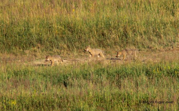 Foto: BMLVS, Josef Kugler Foto: BMLVS, Josef Kugler