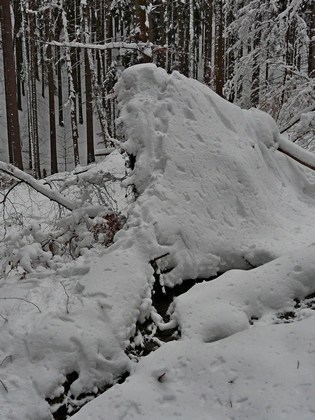 vývrat na který vylezl rys vývrat na který vylezl rys