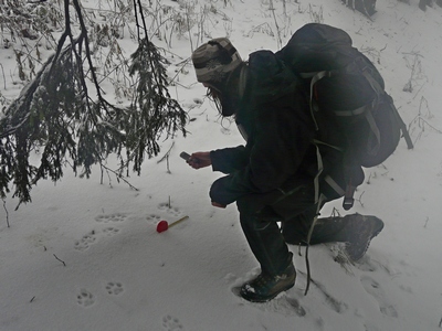u nálezu rysích stop; foto: L.Machalová
