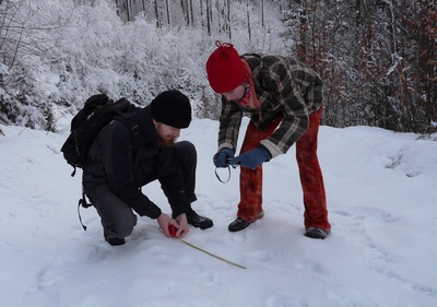 monitoring pobytových znaků šelem