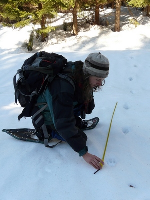 Miroslav Kutal, koordinátor projektů na ochranu šelem