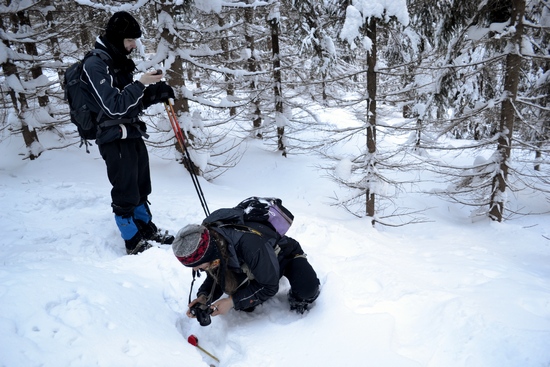 focení a ukládání nálezu trusu rysa focení a ukládání nálezu trusu rysa