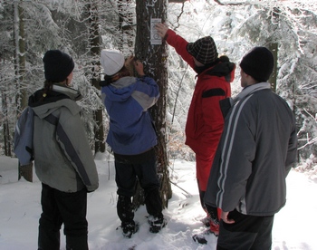 hlídkaři dávají cedulku hlídkaři dávají cedulku