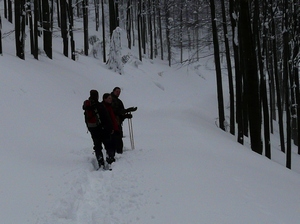 hlídka v terénu hlídka v terénu