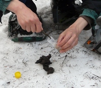 odebírání trusu na DNA odebírání trusu na DNA