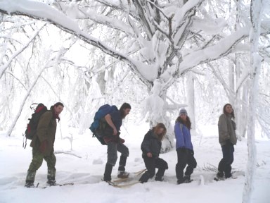 Putovní vlčí hlídky Putovní vlčí hlídky