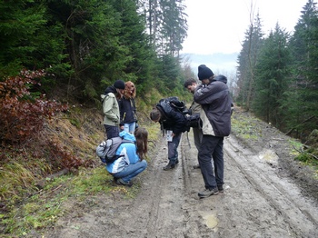 stopující skupinka hlídkařů stopující skupinka hlídkařů