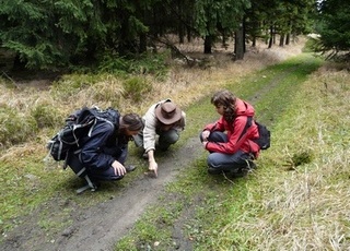 skupinka nad stopama