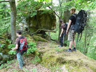 v létě probíhají hlídky jako individuální pochůzky v létě probíhají hlídky jako individuální pochůzky