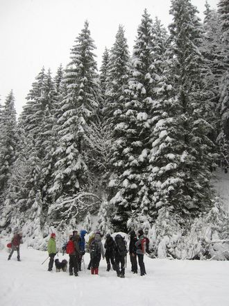 Wolf monitoring in the Beskydy Mountains